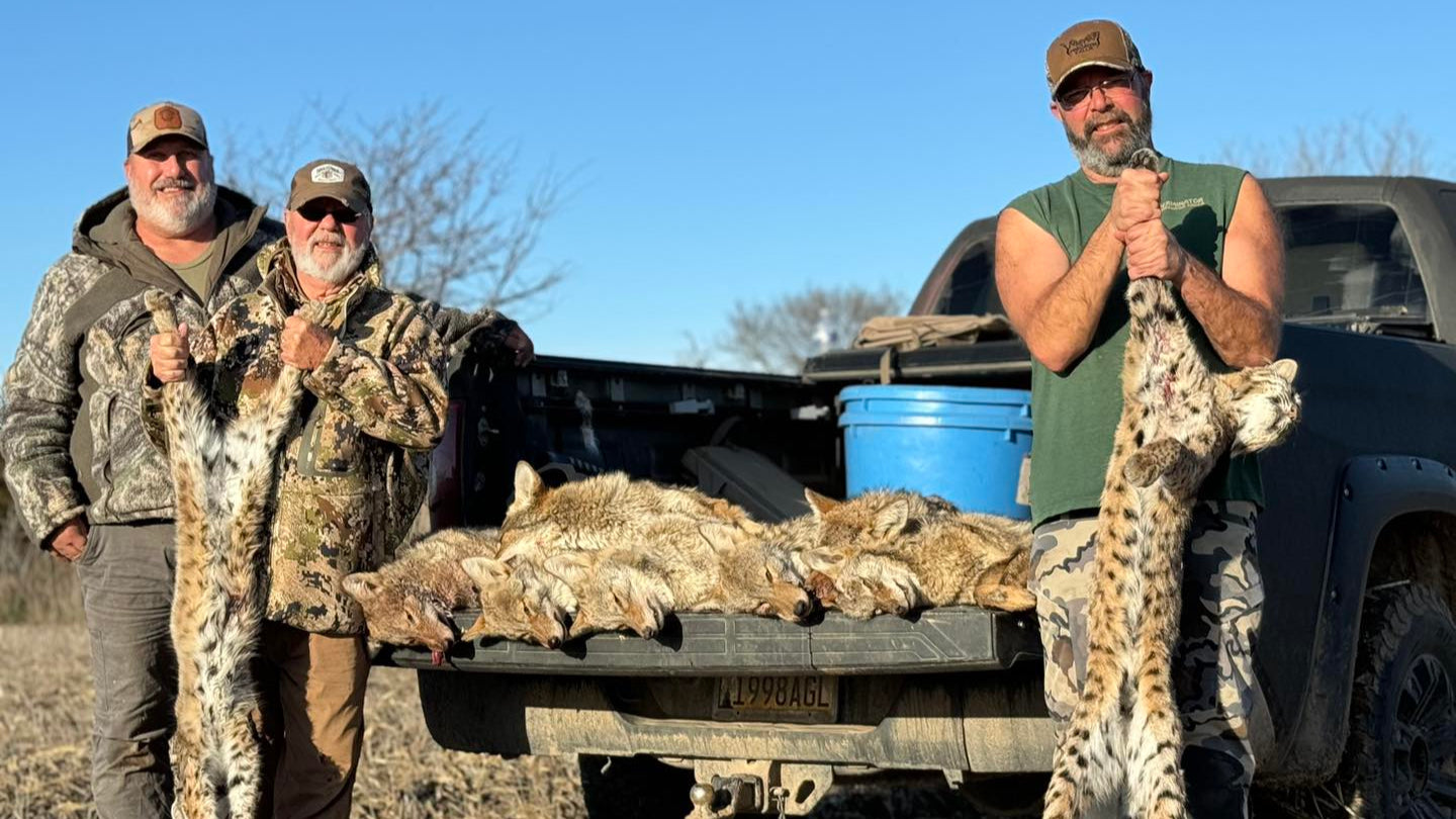Three men holding hunted animals in front of a pickup truck with a blue cooler.